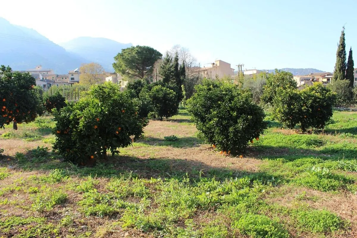 Soller Relax, Cozy And Rural Apartment